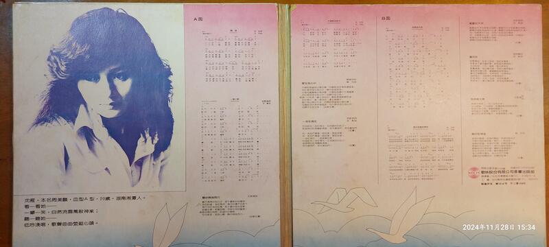 (協奏曲) 沈雁 首張專輯 - 踏浪 / 我踏浪而來,黑膠LP,歌林1979 | 露天市集 | 全台最大的網路購物市集