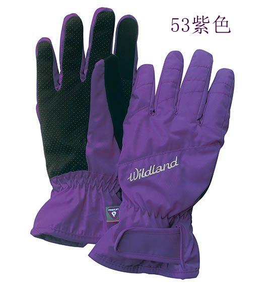 多件優惠【Wildland 荒野】女PRIMALOFT防水觸控手套W2003/抗寒手套/防風防水手套/賞雪/爬山/機車/