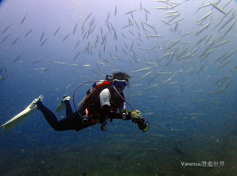 PADI AOW 進階潛水課程，一人開課，上課地點台北、東北角、墾丁、綠島、小琉球，再送第一次水中攝影就上手 
