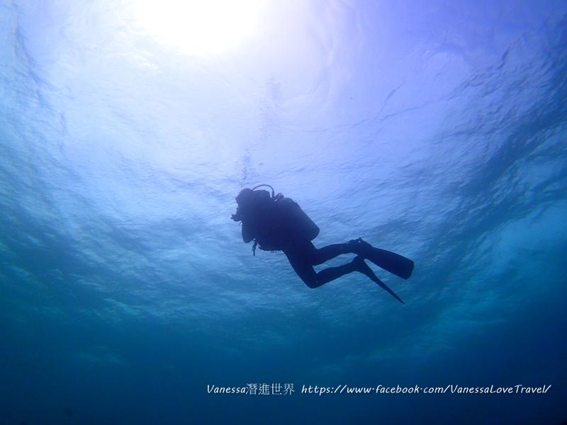 PADI OW 初階潛水課程，一人開課，上課地點台北、東北角、墾丁、綠島、小琉球擇一，再送 第一次水中攝影就上手