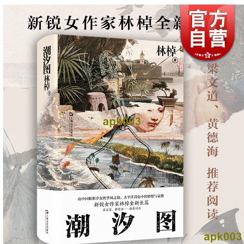 書潮汐圖林棹豆瓣年度作者當代文學精裝正版書上海文藝出版社長篇| 露天