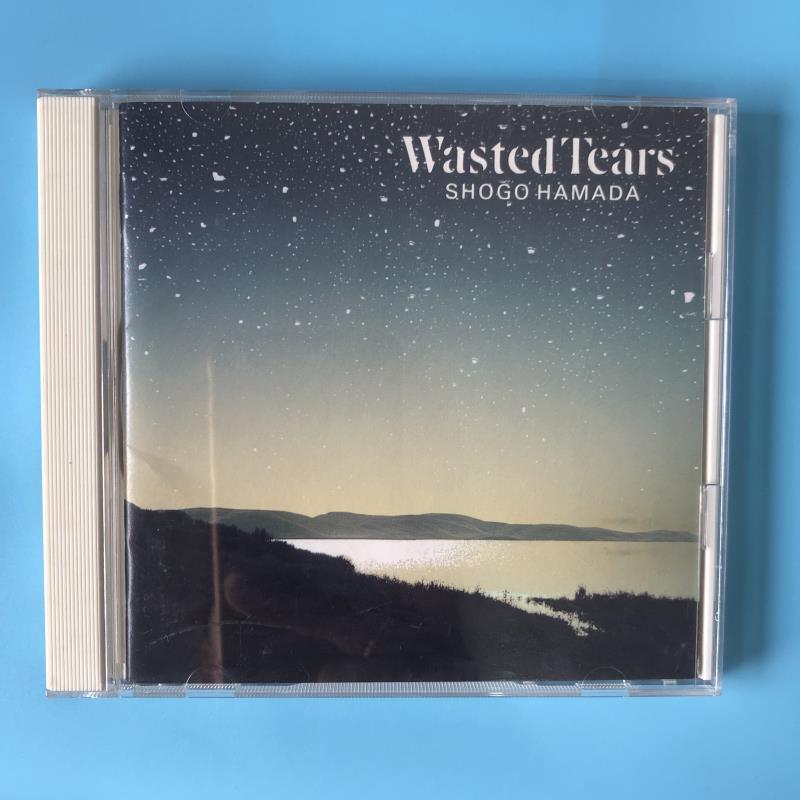 未使用品 廃盤 浜田省吾 Wasted Tears レコード LP - レコード